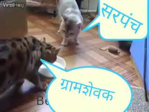 गामसेवक सरपंच