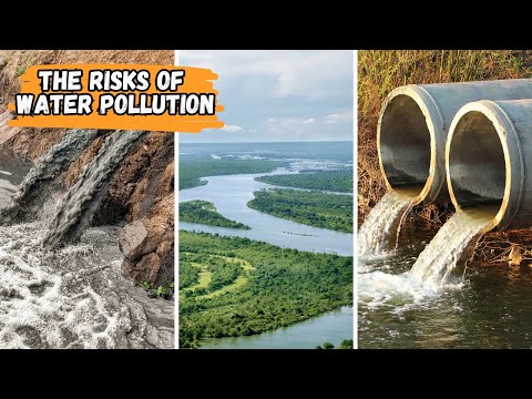 What are the main causes and effects of water pollution?