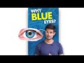 The Secret Behind Blue Eye Color