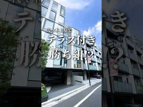 テラスアパートメント屋根付きテラスレザー家具吊り肘掛け椅子を配置する