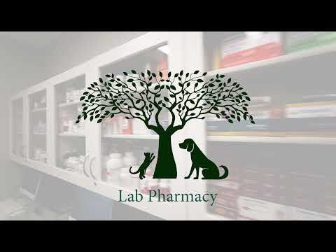 kinard-animal-hospital-greenwood-sc Mp4 3GP Video & Mp3 Download unlimited Videos Download kinard-animal-hospital-greenwood-sc Mp4 3GP Video & Mp3 Download unlimited Videos Download