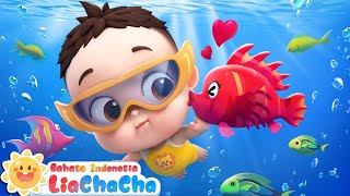 Download lagu Lagu Renang | Bayi Pergi ke Pantai untuk Bermain 🌊| Lagu Anak-anak | LiaChaCha Bahasa Indonesia mp3 Download lagu Lagu Renang | Bayi Pergi ke Pantai untuk Bermain 🌊| Lagu Anak-anak | LiaChaCha Bahasa Indonesia mp3