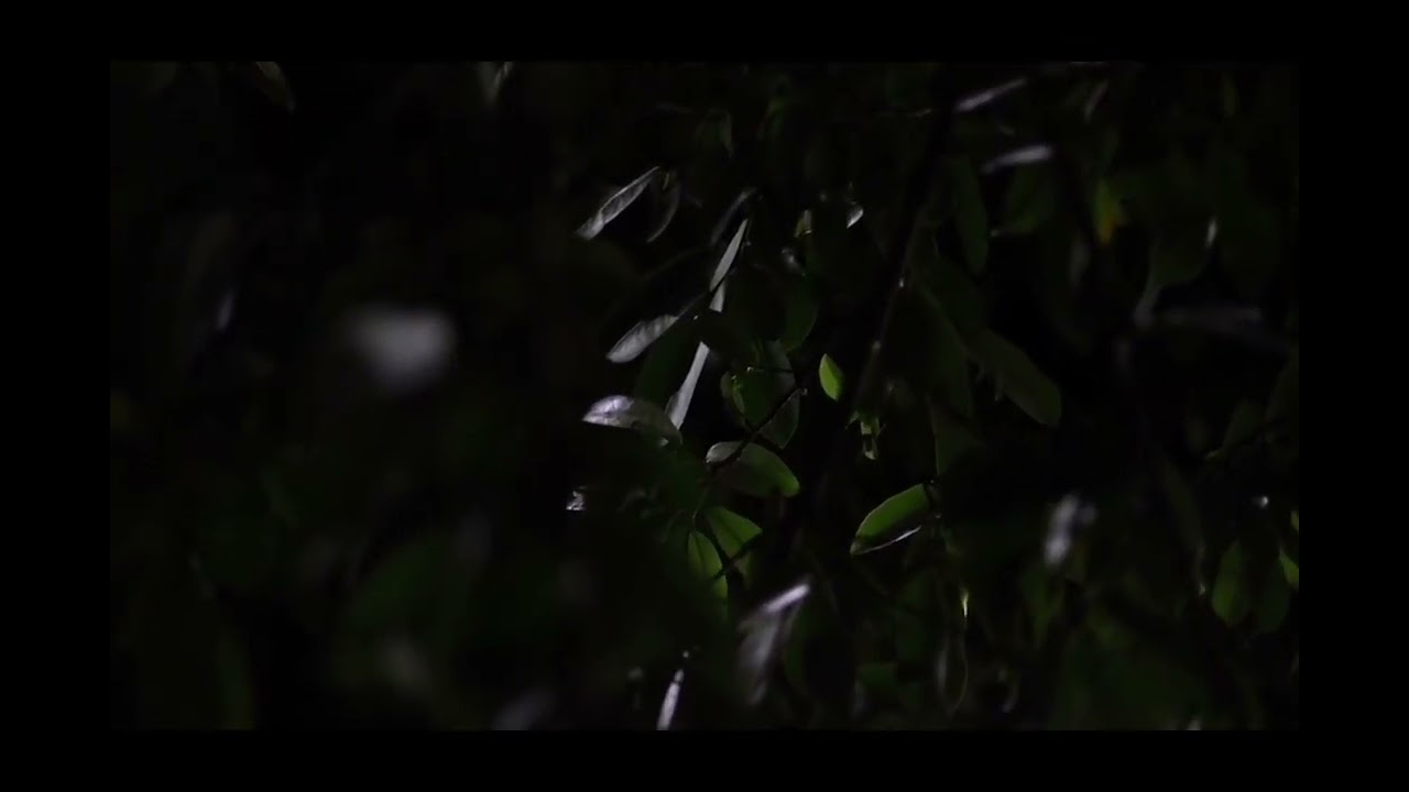 Anabel González Albarrán-6