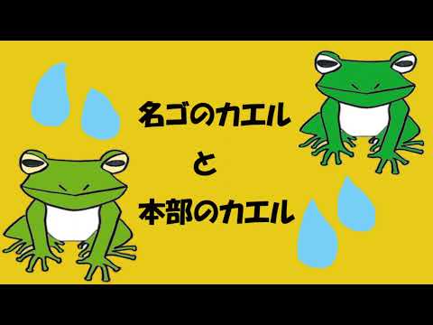 日本文化学科 The two frogs from the different towns　名護（なご）のカエルと本部（もとぶ）のカエル　沖縄の民話・昔話（18AA019）