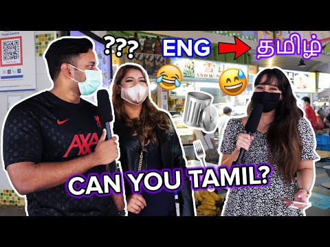 Who is the best at their Mother Tongue? : *TAMIL* vs malay vs chinese