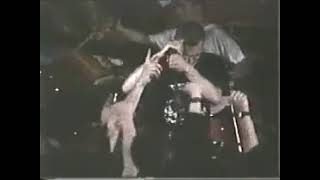 #Molodoï : politichiens #live