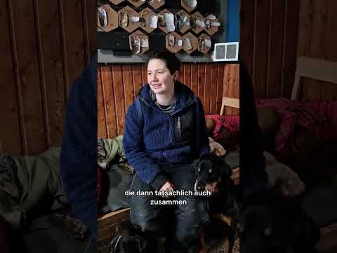 Hellhound Foundation: Vermittlungschancen der Hunde | #150JahreUelzener