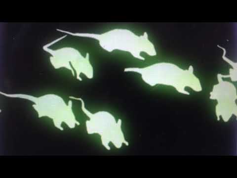 Ina Deter Band  - Die Ratten Sind Los (130 bpm)