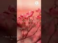 Mudhan Mudhalil Parthen Aaha Hariharan Video Lyrics Song Tamil Whatsapp Status Songs