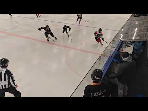 2026_01_31 DHK-Karpati Farkasok U14 3.HARMAD