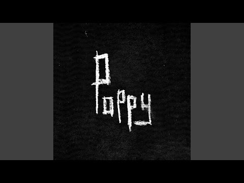 Poppy - Wunderhorse