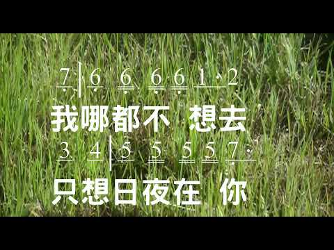 能不能 Let Me Stay 詞:鄭懋柔 Tiffany M. Cheng　曲:游智婷 Sandy Yu 伴奏版 簡譜 樂器 中文字幕 (使用讚美之泉官方卡拉OK伴奏)