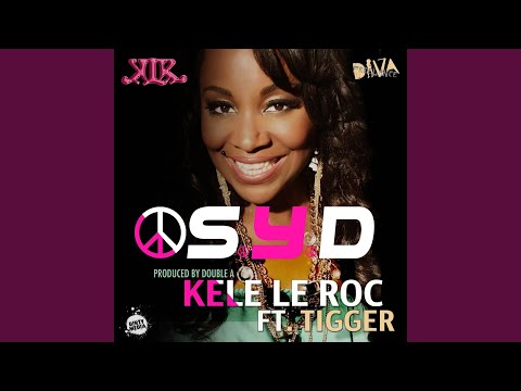 S.Y.D (Shoot You Down) (DJ Naughty Remix)