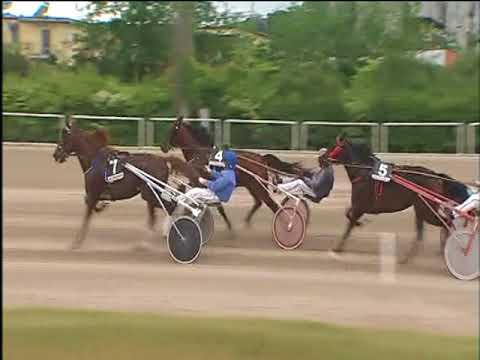 Trotto 04/05/2018 - 5ª corsa