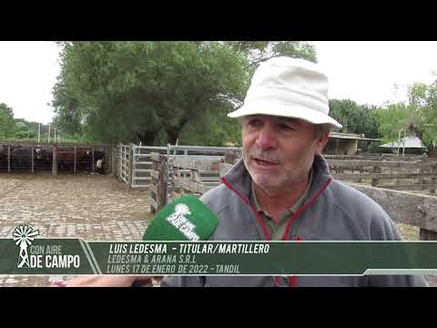 Luis Ledesma - Remate de Ledesma y Arana - Lunes 17 de enero de 2022 - Tandil