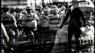 Pitty - Temporal (Admirável Vídeo Novo)