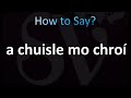 How to Pronounce ''a chuisle mo chroí'' (Irish)