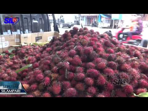 Rambutan Binjai Laris Manis