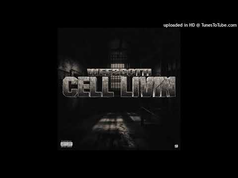 WeezGotti -LLMD (ProdByDuce)