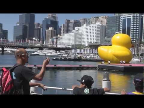 Festival TV: Day One