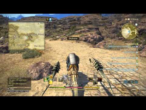 The Rematch 2! Final Fantasy XIV: A Realm Reborn Gameplay Walkthrough Part 76(PS4)