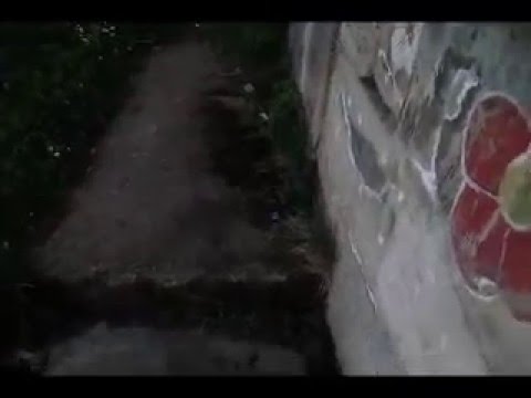 Srpske Misterije #3 (ukleti bunar)