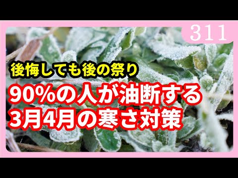 庭を寒さや霜から守る肥料は何ですか?この冬おすすめの5本をご紹介します!  庭園