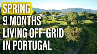 Spring Update - 9 Months Living Off-Grid In Portugal Tiny House - Life Reimagined