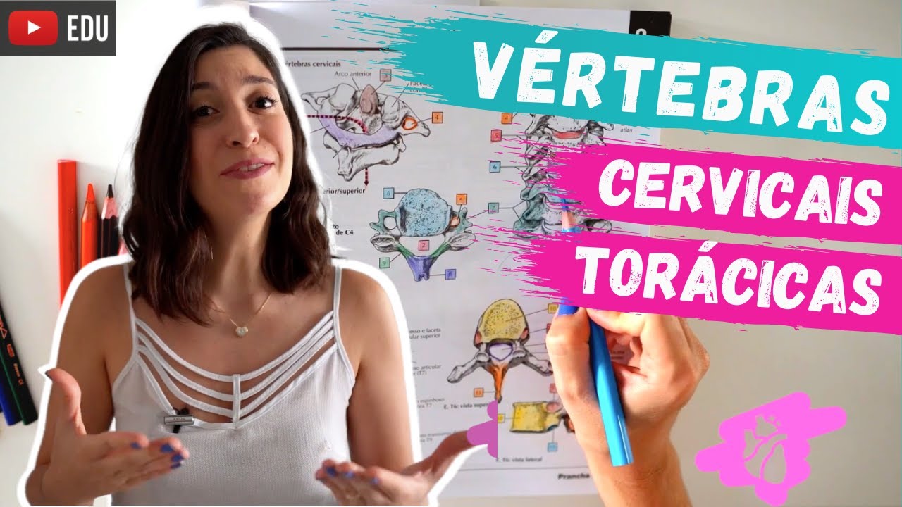 VÉRTEBRAS cervicais e torácicas: Acidentes ósseos. Anatomia para COLORIR!