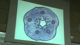 Dr Gihan "drawing 1st lecture " part 3