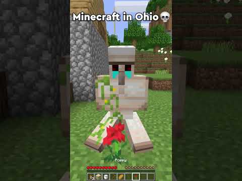 Can't even play Minecraft in Ohio 💀(part 4) #shorts #minecraft #ohio