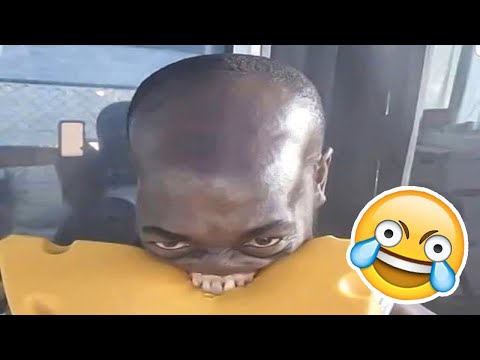 SI TE RÍES PIERDES NIVEL DIOS😂🤣🚨 [999.99 IMPOSIBLE NO REÍRSE]🥶Videos De Risa Muy Graciosos 2025😁