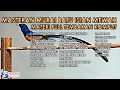 The Melody Sound Of The Magpie Robin Bird