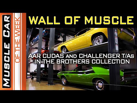 Plymouth AAR Cudas and Dodge Challenger T/As at Brothers Collection Museum Muscle Car Of The Week