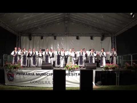 Camelia Ceocu /Colaj Live/ Ansamblul folcloric ''Bârzava'', Reşiţa  / 6