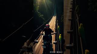 A creepy, eerie atmosphere portrayal of a motorcyclist on a high jungle bridge, creative artistic