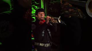 Video de Mariachi Dinastia Dorada