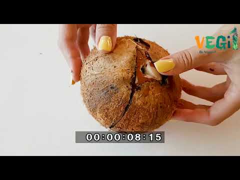 How To Make Coconut Milk at Home - A Deliciously Easy Guide to Making the Best Coconut Milk!