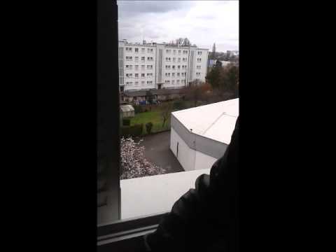 FREESTYLE URBAN FARKX POUR  GRAINE 2RUE