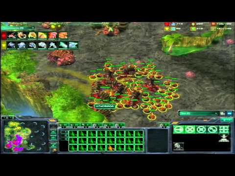 Dimaga vs  Happy Asus Spring SC2 Final