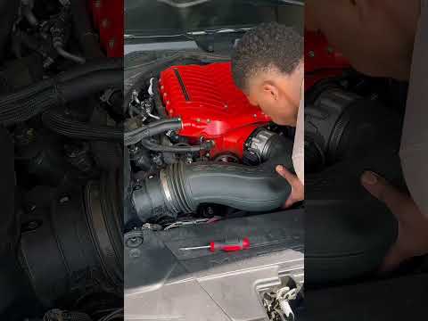 Just Increased My Supercharger Whine! #whipple #carmod #mustanggt #s650mustang #musclecar #v8 #ford