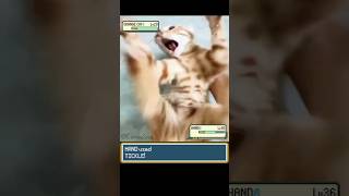 Download lagu ORANGE CAT vs TICKLE in Pokemon Battle #pokemon #pokemonmemes #pokemonbattle #funnycats #irlpokemon mp3