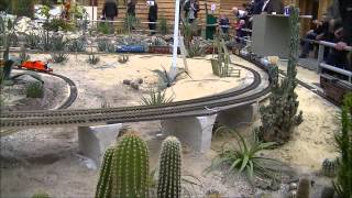 preview picture of video 'LGB-Anlage Cactus Oase  &  LGB modelbaan in de Cactus Oase in Ruurlo'