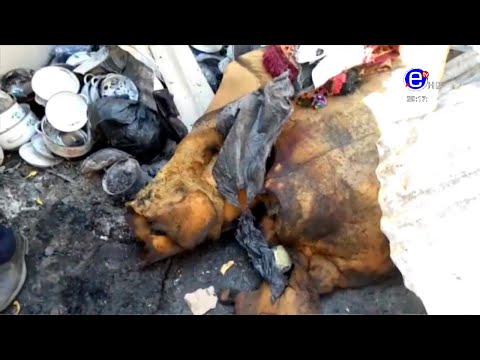 20H BILINGUE DU SAMEDI 28 NOVEMBRE 2020 - ÉQUINOXE TV