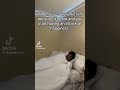 Itsandrewz TikTok Compilation 3
