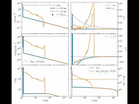 2. Full grid - dynamics