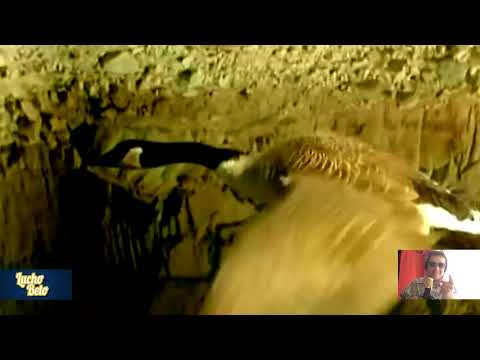 MIX ELMER VIVE 3 - LUCHO BETO