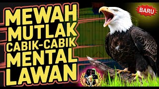 Download lagu GACOR KASAR BIKIN LAWAN KENA MENTAL ‼️ Masteran Burung Kasaran Full Isian Mewah Robek Mental Musuh 🐦 mp3