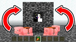 このアイテムだけでこの岩盤部屋から脱出できる ブタ編 Vsサイコゲームマスター マイクラ 切り抜きdb