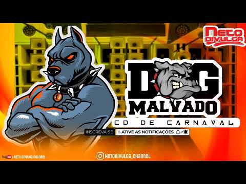 DOG MALVADO • CD DE CARNAVAL | VERÃO 2022 (LANÇAMENTO) PAREDÃO